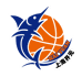 上海宝山大华女篮 队徽